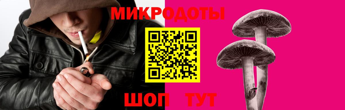 Псилоцибиновые грибы прущие грибы  Вход с VPN  Городец 