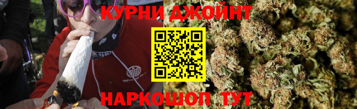 Городец  Канабис планчик  Бошки Шишки семена  Бошки марихуана White Widow  Вход с VPN 